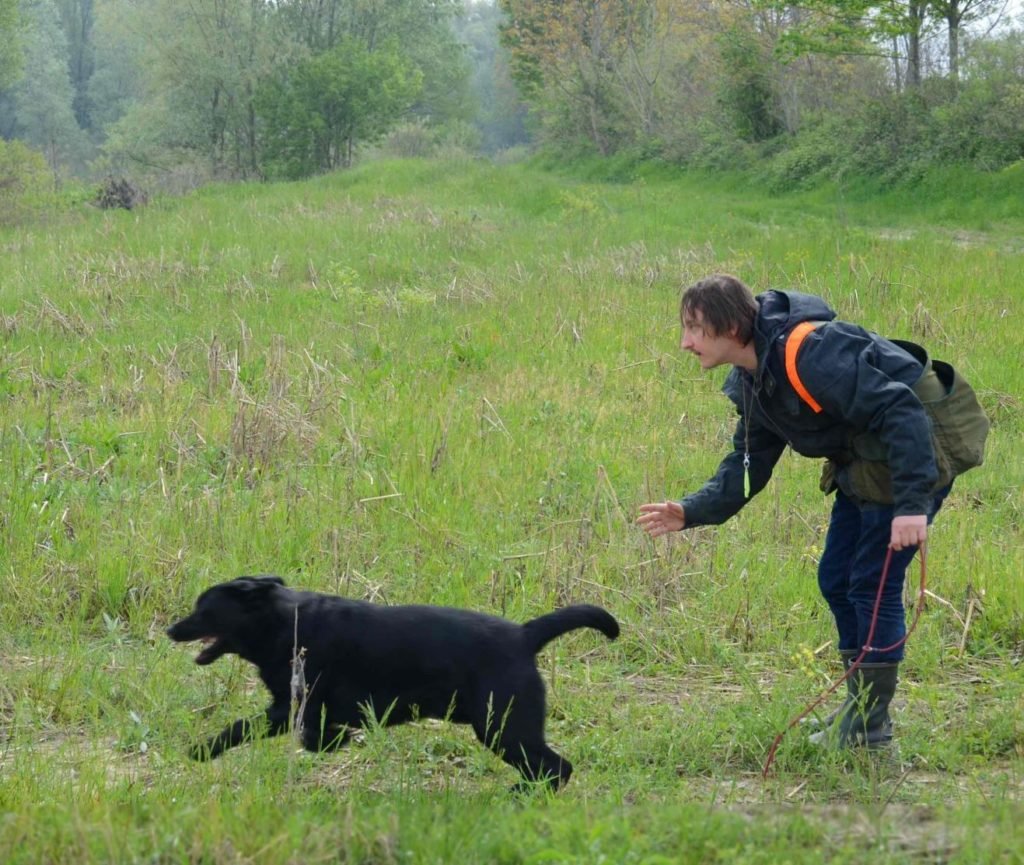 working retrievers 2 martino e what a burn workin retrievers