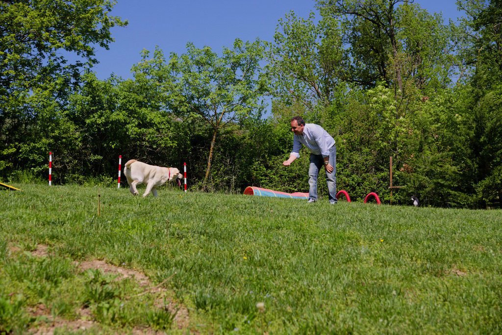 il cane risponde al richiamo? 1 il cane risponde al richiamo?
